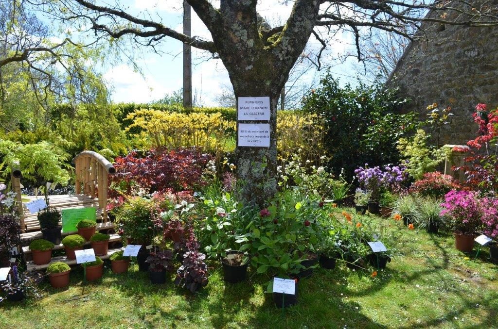 Neurodon Au Phil du Jardin Stand plantes 2